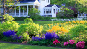 Green Horizons Landscaping and lawn care - lush healthy lawn, colorful shrubs and landscaping
