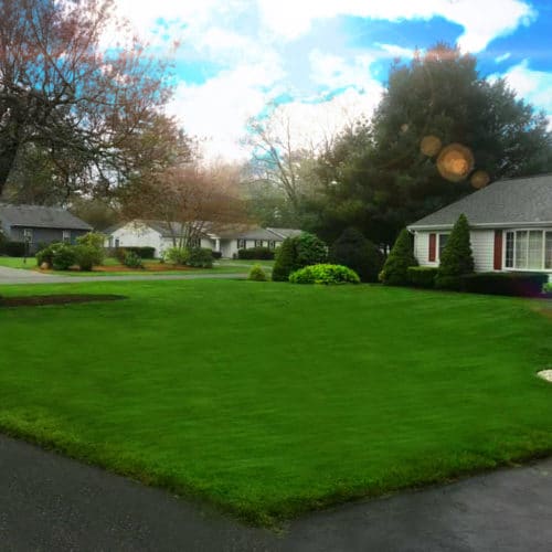Green Horizons Landscaping Lawncare, Weed Control