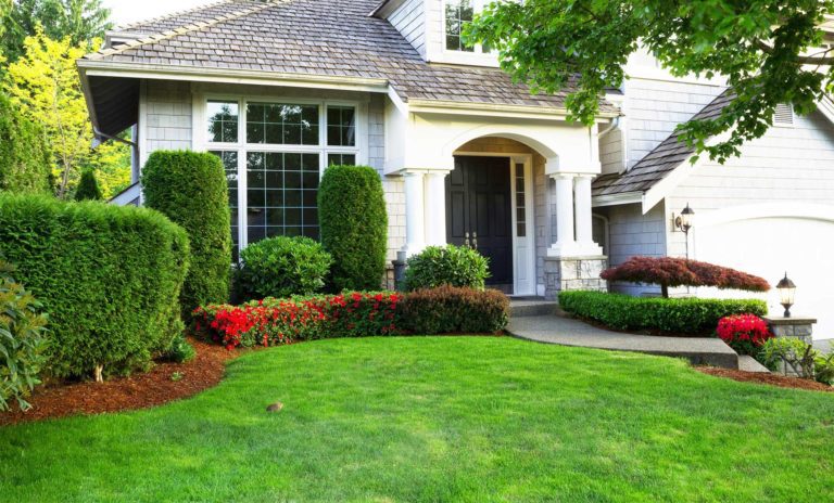 Green Horizons Landscaping summer Lawncare and landscaping tips