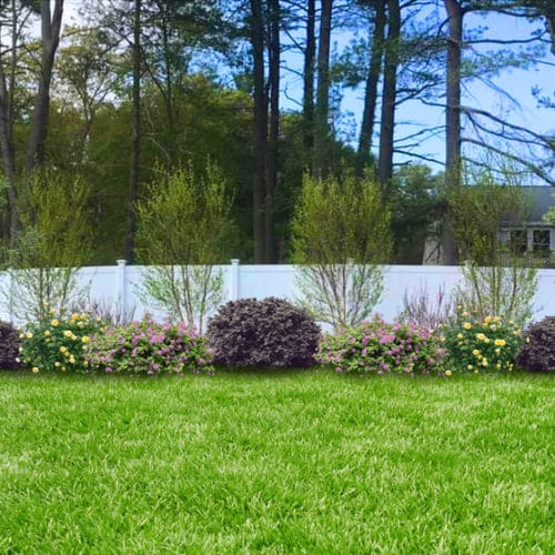 Green Horizons Landscaping Fencing, Trees and Tree Planting, Shrubs and Shrubbery Care